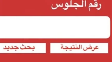رابط النتيجة.. كيف تستعلم عن درجات الشهادة الإعدادية عبر موقع وزارة التربية والتعليم؟